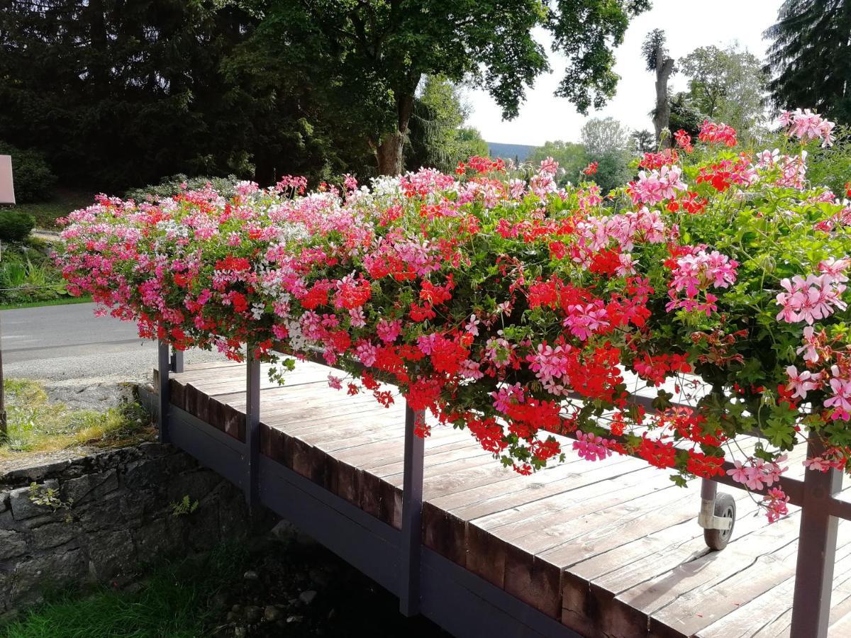 Penzion Bílá voda Harrachov Esterno foto