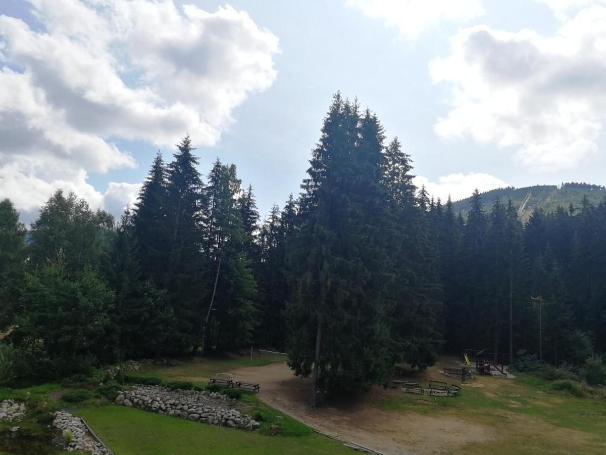 Penzion Bílá voda Harrachov Esterno foto