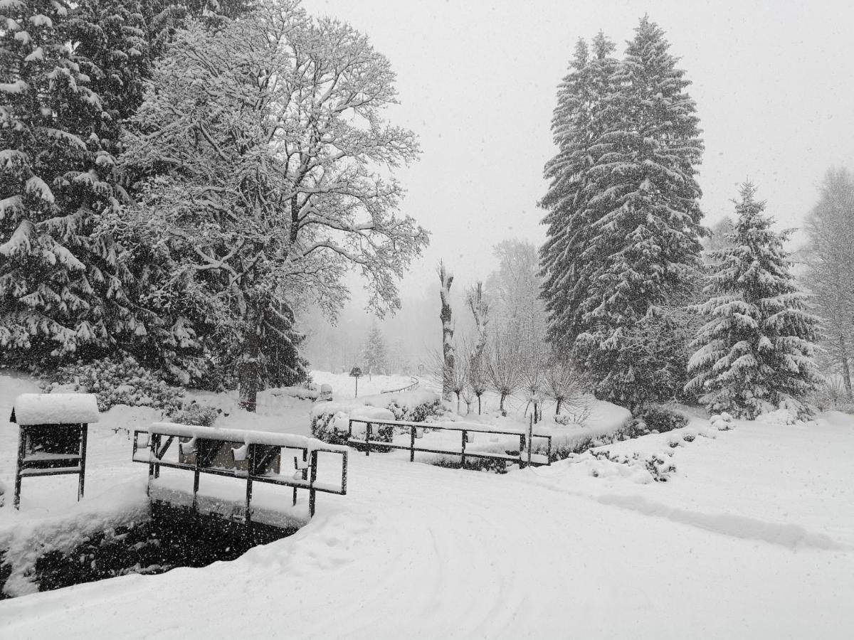 Penzion Bílá voda Harrachov Esterno foto